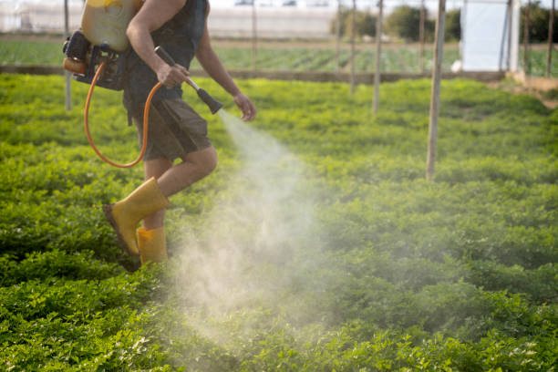 Best Pest Removal Services  in Scobey, MT