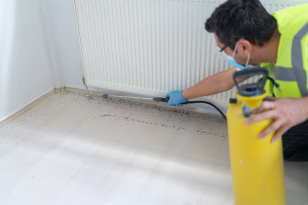 Best Flea Control Services  in Scobey, MT